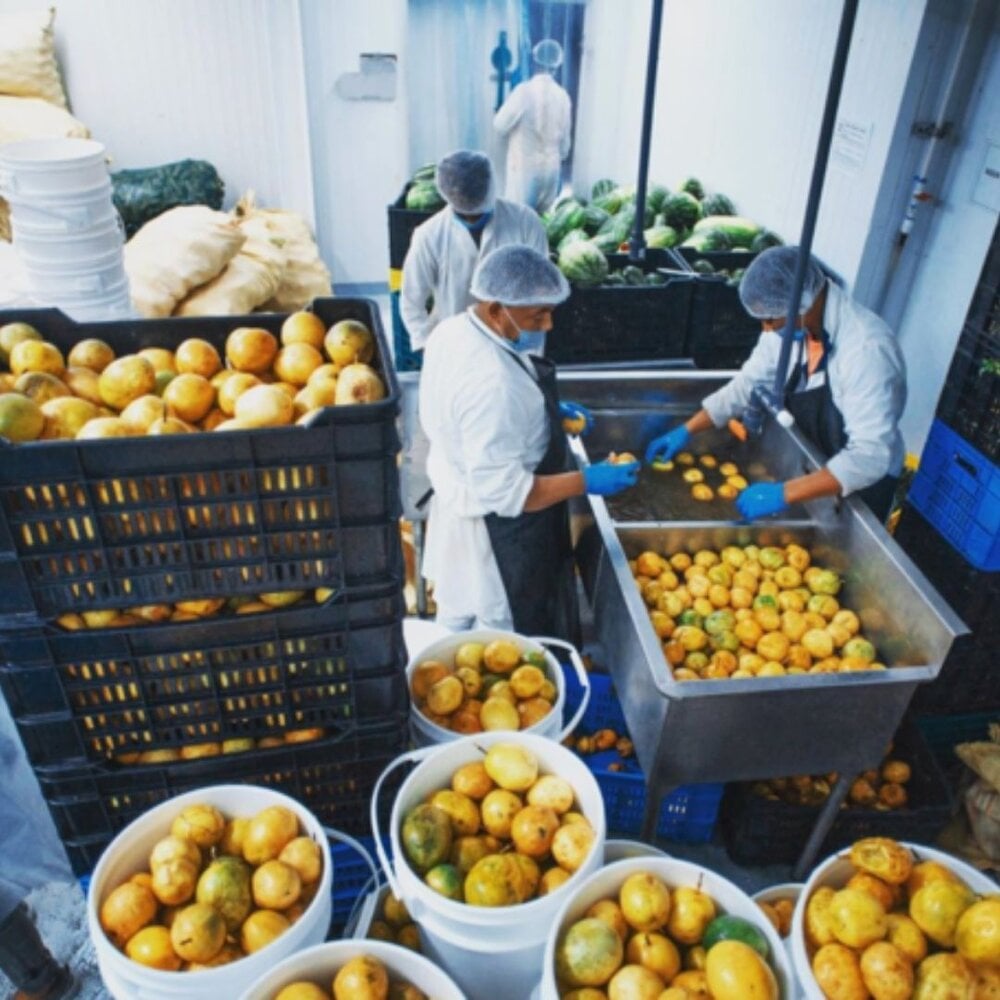 Juice startup outlet